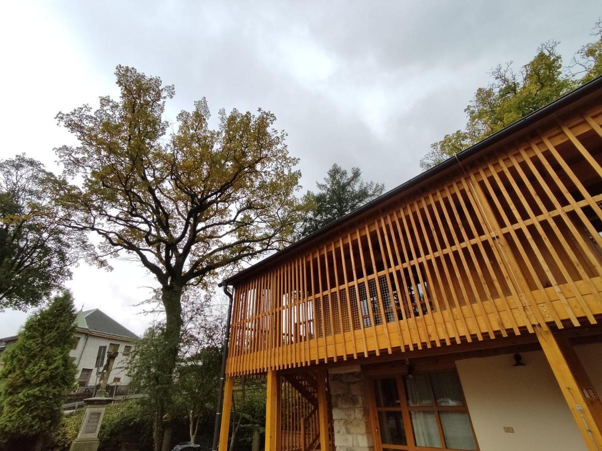 Apartment Ve Mlyne Teplice nad Metují エクステリア 写真